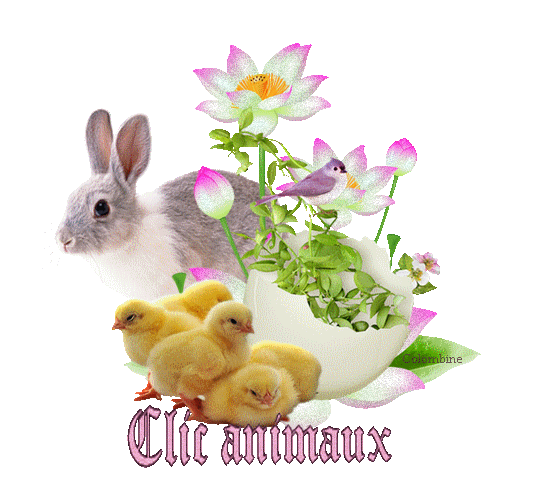 Clic animaux du mois de mars - Page 3 Cli_an10