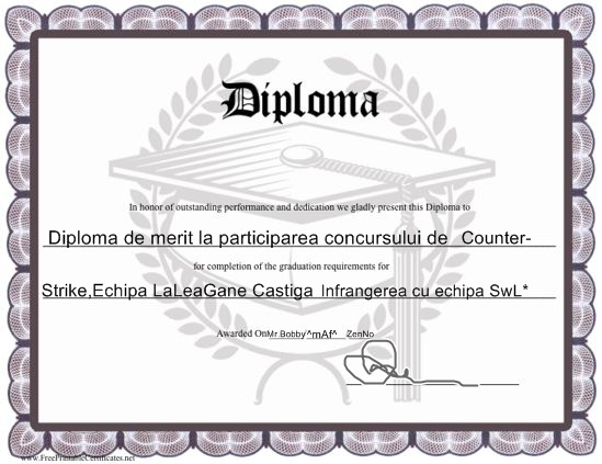 Diplome Al Echipei Diplom10