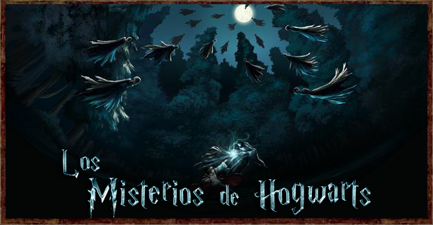 Colegio Hogwarts de Magia y Hechiceria Mister11