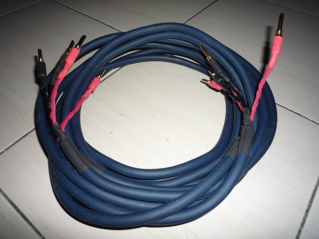 AudioQuest Indigo Blue speaker cables (Used) SOLD P1010420