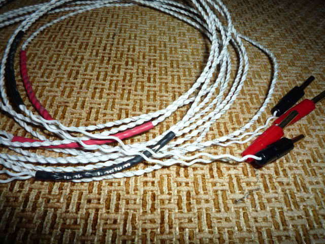 Black Rhodium Diva speaker cable (Used) SOLD P1020110
