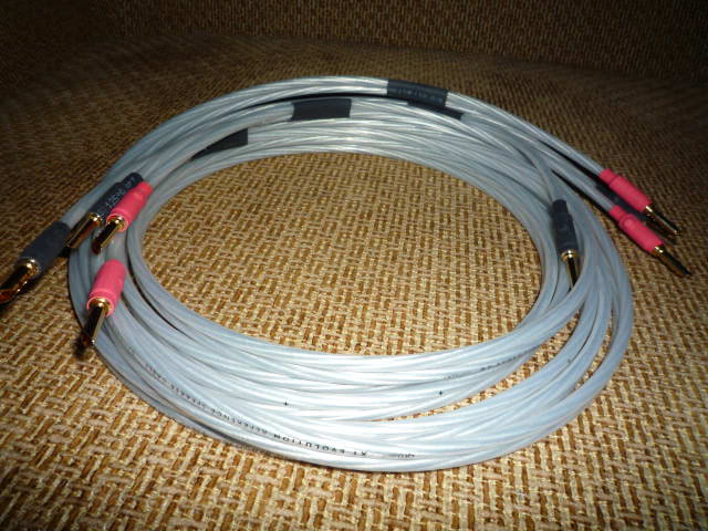 QED XT Evolution Referrence Speaker Cable (New)SOLD P1020376