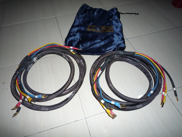 Ecosse ES 4.45 Speaker Cable (Used) P1020413