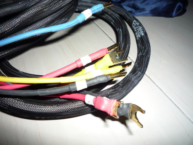 Ecosse ES 4.45 Speaker Cable (Used) P1020415