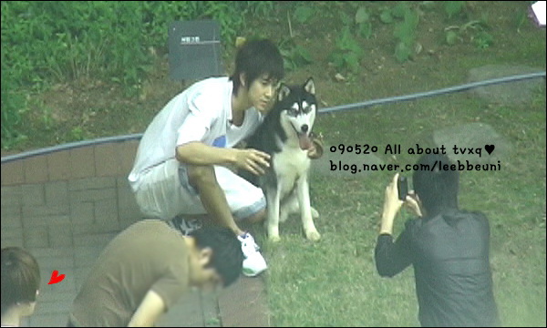 [09.12.05] DBSK & Their Dogs Taepun11