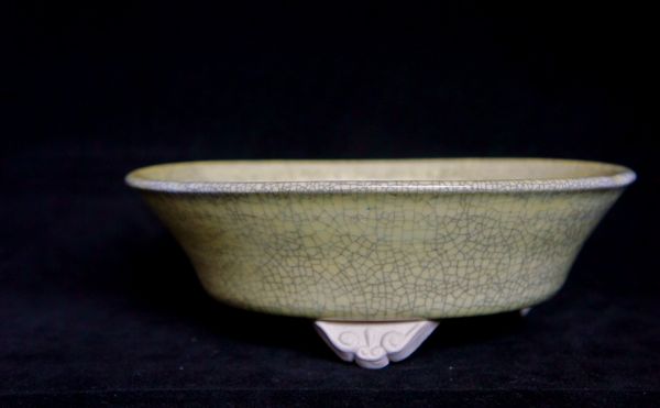 From the Stone Monkey Kiln - Page 8 Dsc01023