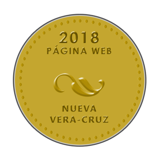 Premio Lucero Página Web 2018 201814