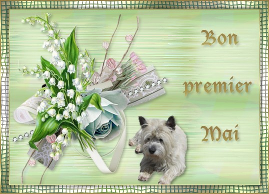 MAI 2018 Premie10