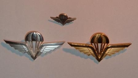 Norwegian cloth and metal badges Nor1110