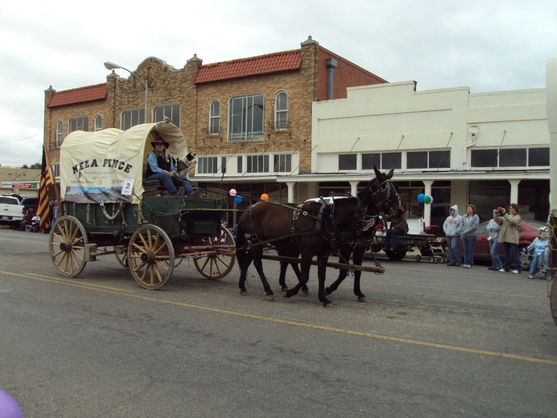 Rodeo parade....covered wagons Thanks10