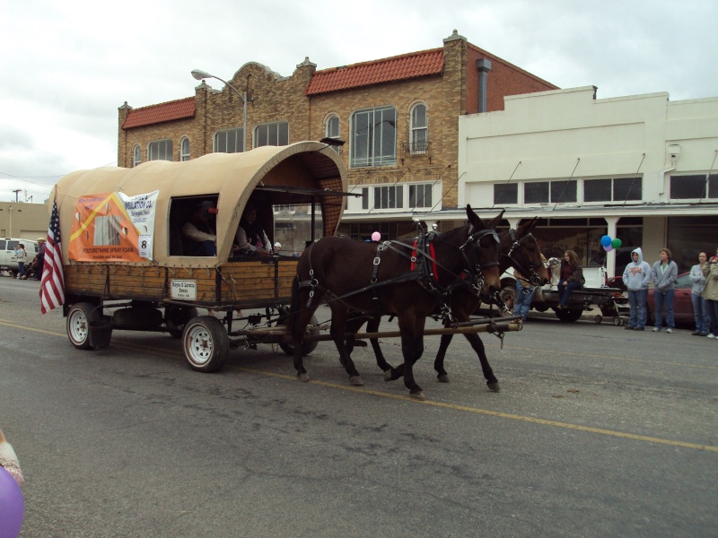 Rodeo parade....covered wagons Thanks19