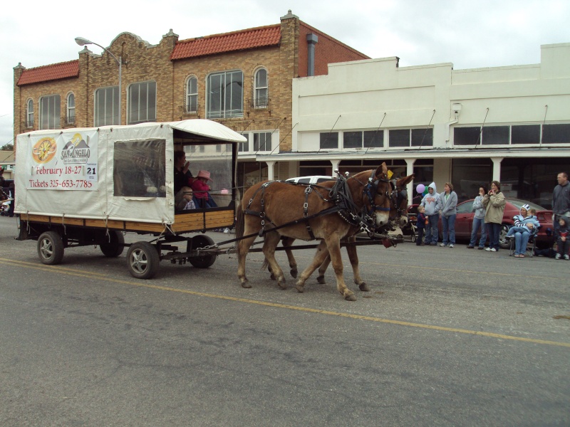 Rodeo parade....covered wagons Thanks29