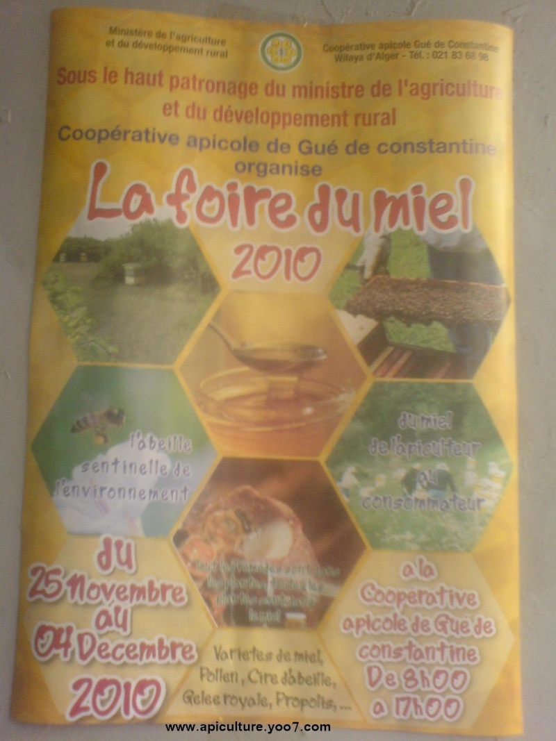 10e Foire nationale du miel à Alger: une quarantaine d'apiculteurs Foir2010