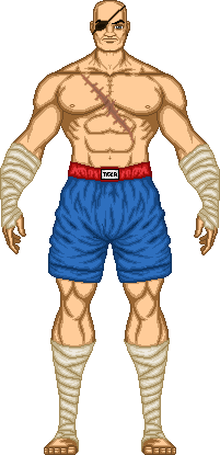 DC, Marvel and Others (My micros Super Heroes) Sagat_10