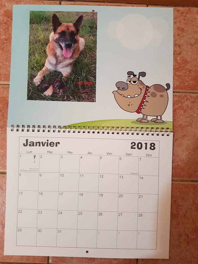 Les Calendriers 2018 sont arrivés !! 20171111