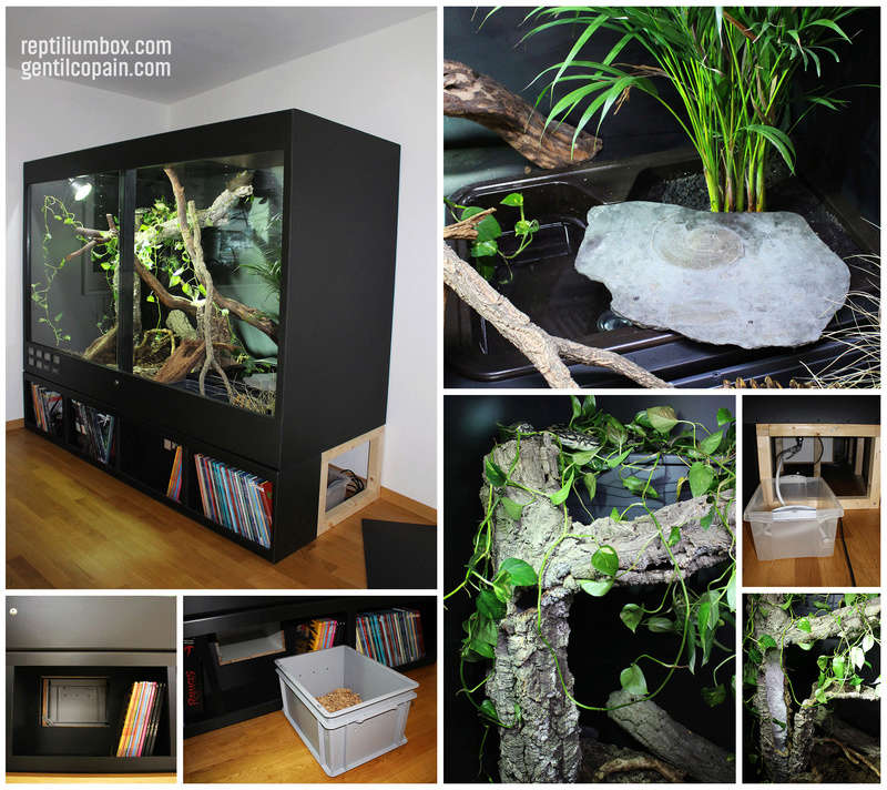 Mes Installations de chez ReptiliumBox Reptil10