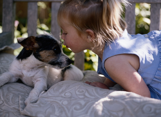 harmonie entre chiens et enfants..... 9206210