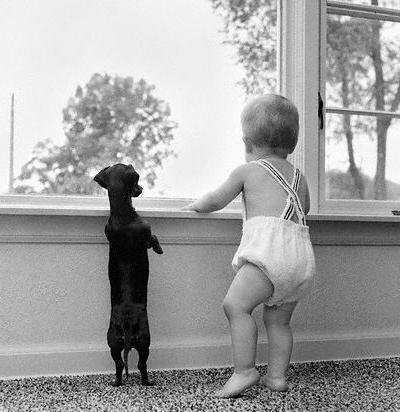 harmonie entre chiens et enfants..... Baby2010