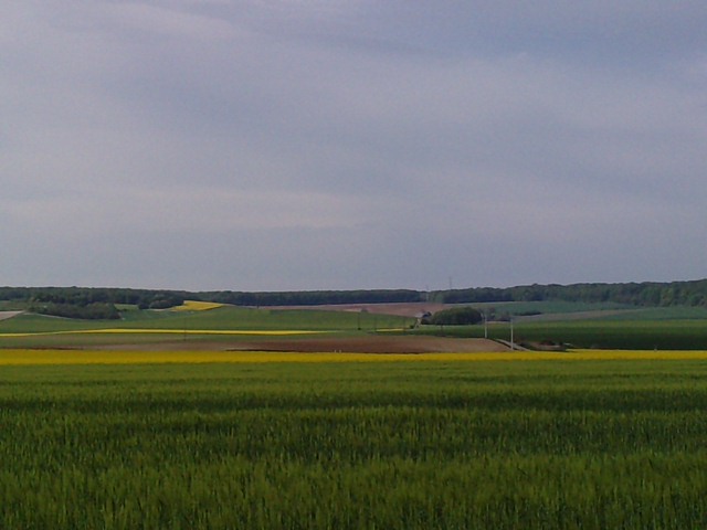 Ma campagne, mes balades Vue_d_10