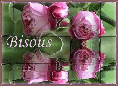 joyeux anniversaire brigitte Bisous10