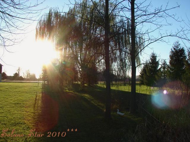 2012 and Bursts from the Sun Nov_co10