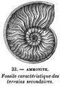 Cosmogonie mosaïque. Figure10