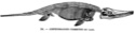 Cosmogonie mosaïque. Figure11