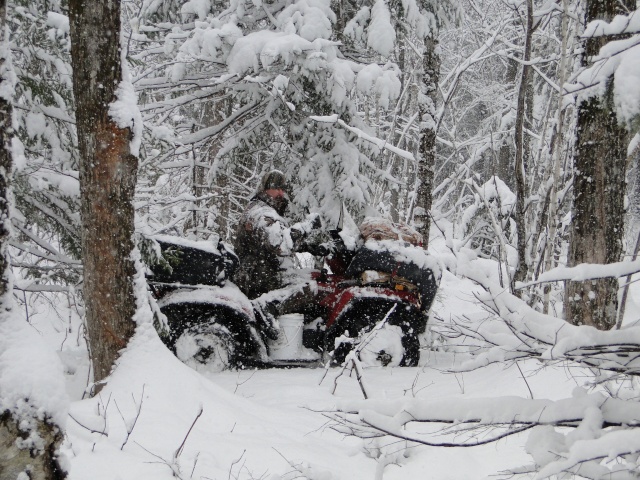 attender vous quil ny est plus de neige Dsc03412