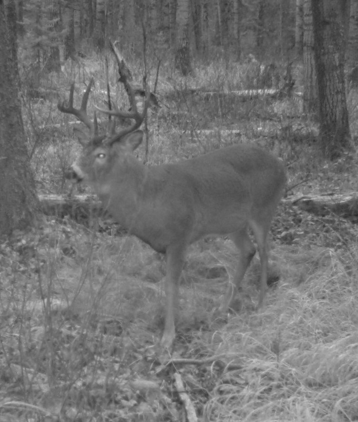 quelques photos en saskatchewan 2010 Mdgc0049