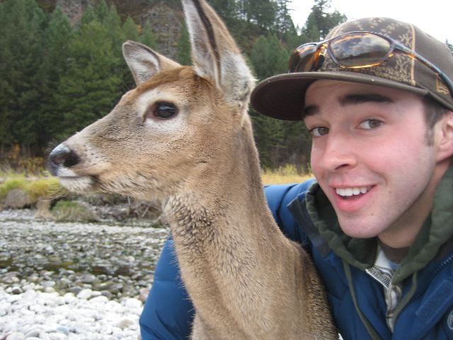 belle photo ! petit chevreuil pas farouche ! Untitl12