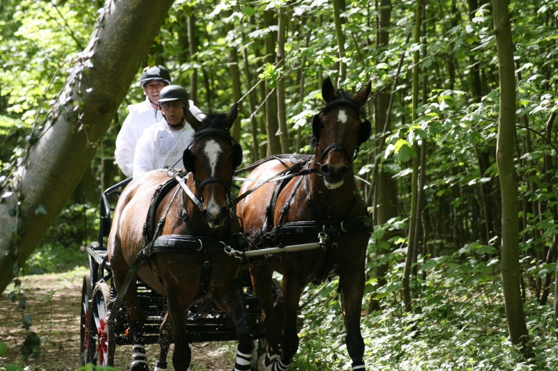 Tourville 2009, Les photos Img_2617