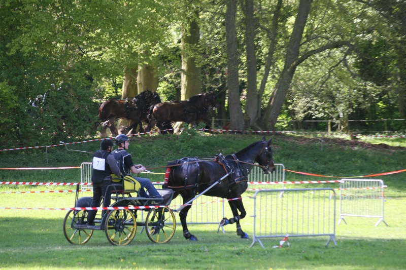 Tourville 2009, Les photos Img_2813