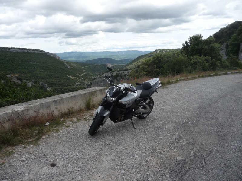 les dentelles de monmirail P1010921