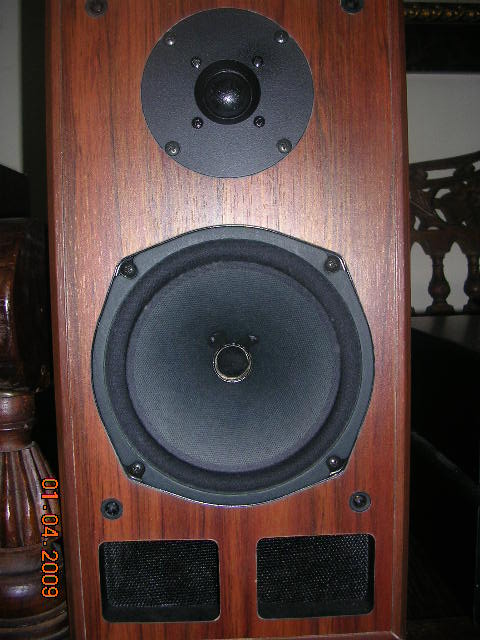 Loth-X Ion 1 speakers (Used) Dscn3820