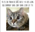 CHARLIE, chat né en 06/2012 env. (Carmina) - IMPOSSIBLE A ATTRAPER POUR AMENER AU VACCIN Chatds11