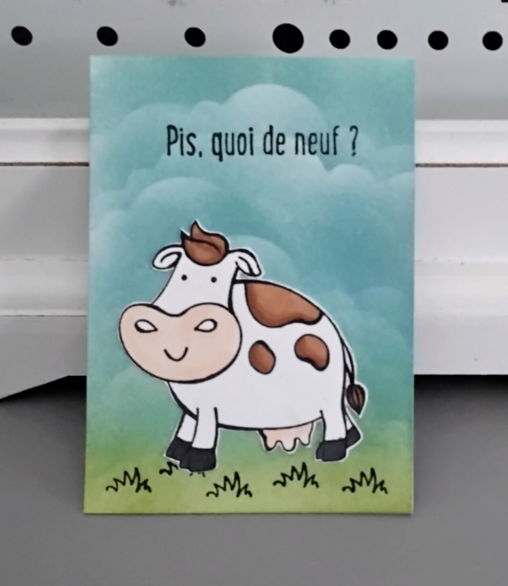 Galerie de novembre 2021 : vache  20211118