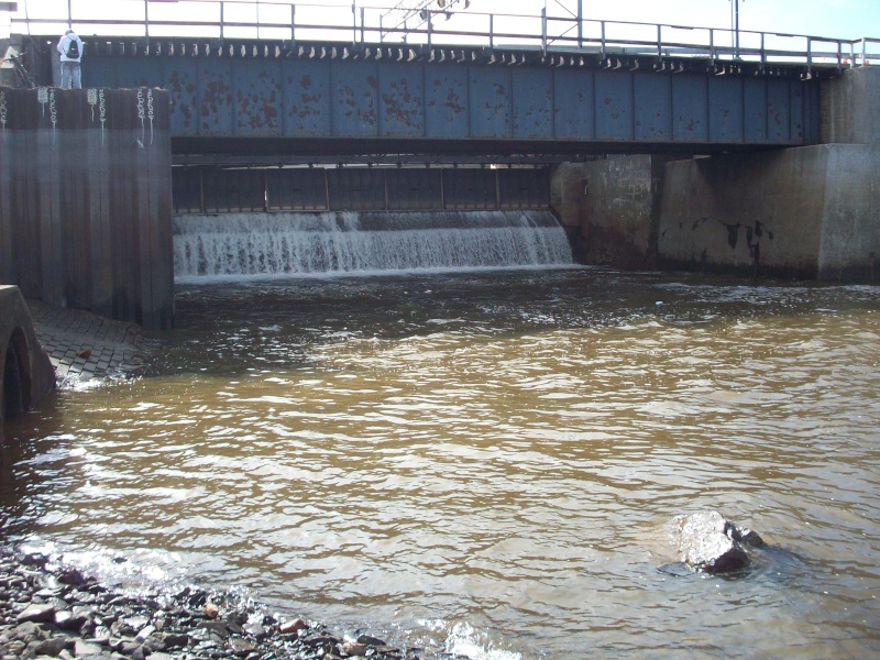 coin de peche sur le fleuve 00910