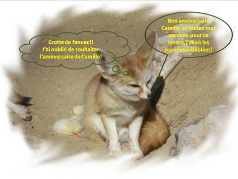 Bon Anniversaire Camille Bon Anniversaire Camille
