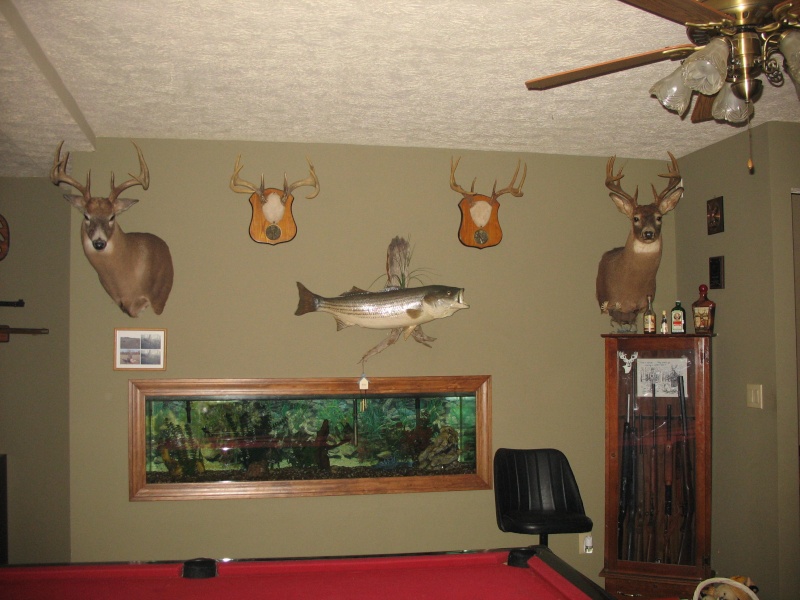 Lets see your deer mounts! Img_0218