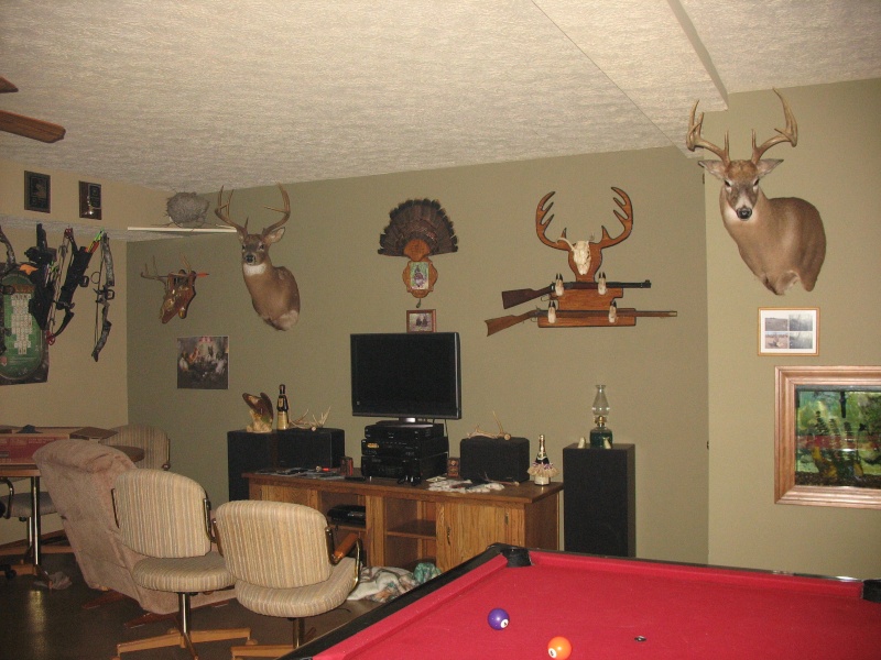 Lets see your deer mounts! Img_0219