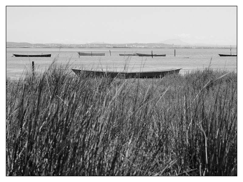 Vos plus belles photos du mois de mai 2009 Barque11