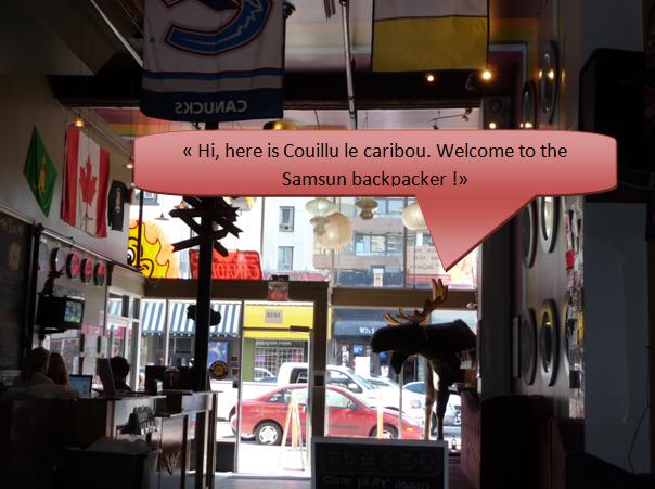 En direct live de Vancouver avec Couillu le caribou! Couill12