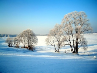 Vollmondtreffen Dezember 2010 Winter12