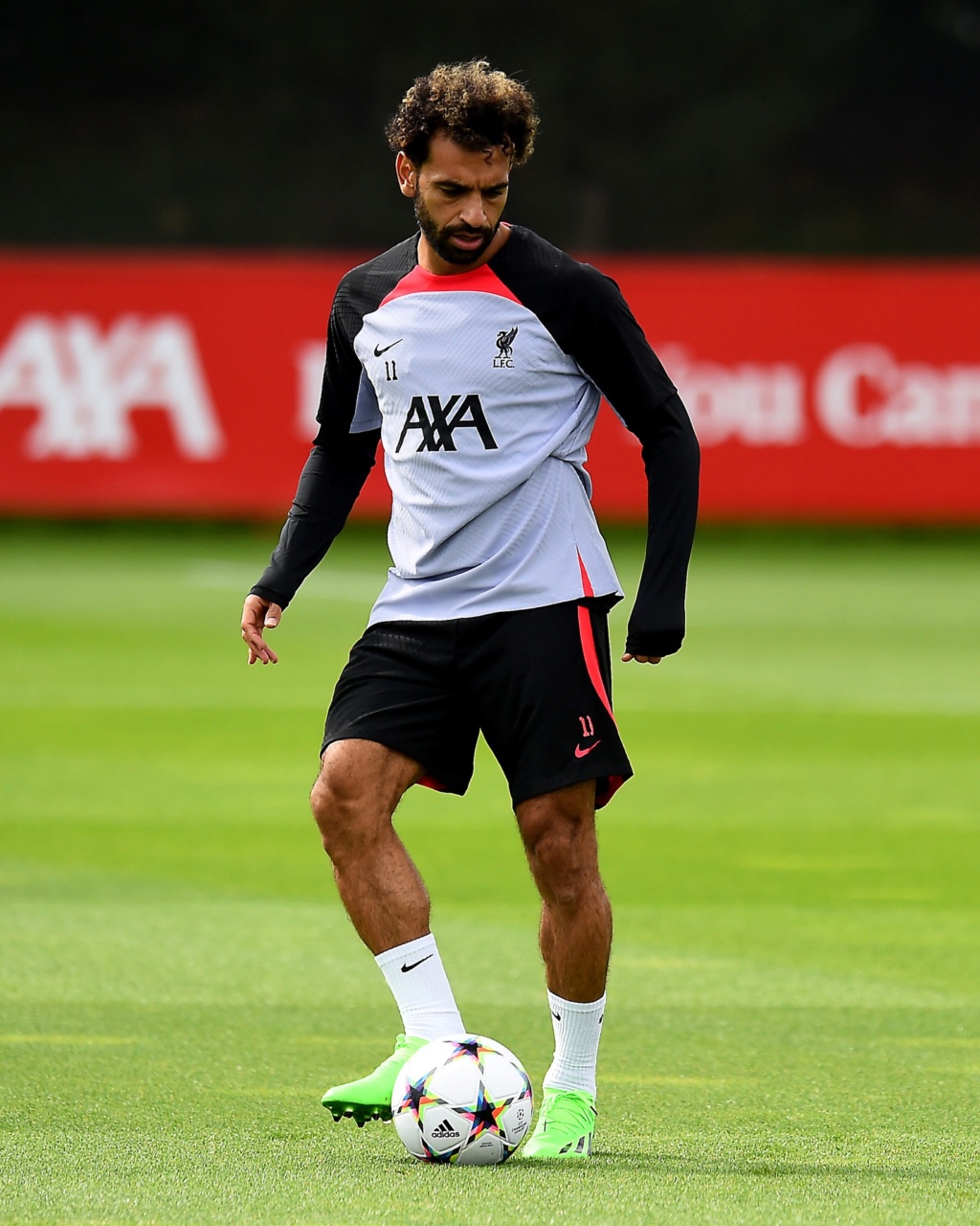 Training - Reds 2022/23 - 09 - Seite 2 30557610