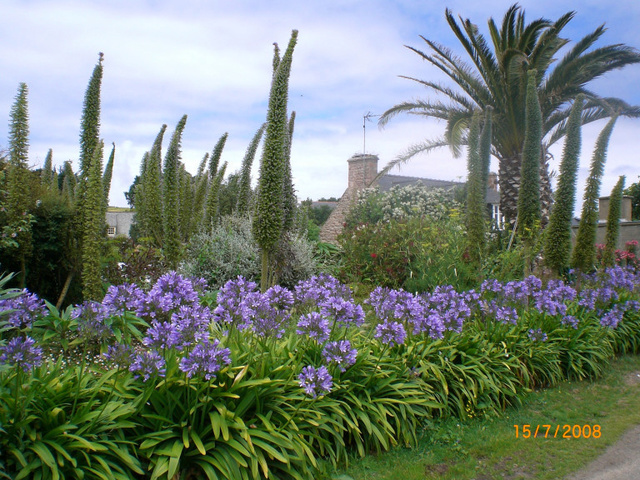 Île-de-Bréhat Carte_27