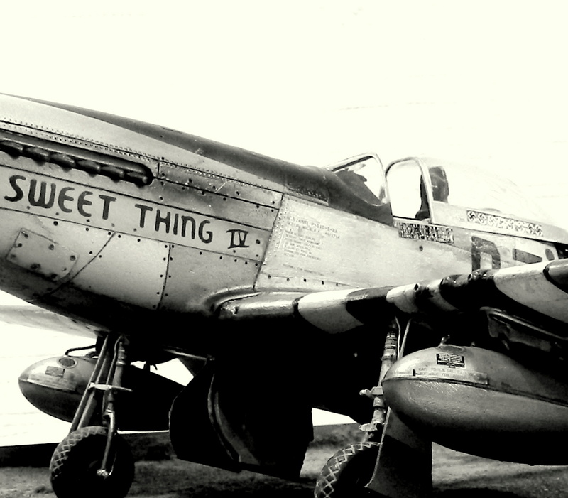 P-51D-5 - "Sweet Thing IV" Lt. Col. Roy Webb Jr., 361st Fighter Group, 374th Fighter Squadron - June 1944 0111