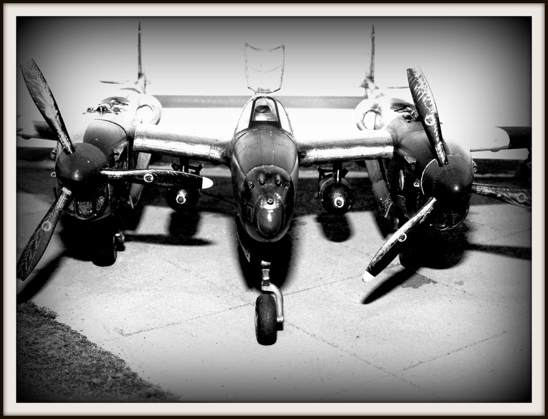  (VITRINE PROJET AA)P-38 J Lightning -1st Lt. Rolland E.Levey 474th FG/429th FS/9th AF 1/48 B00310