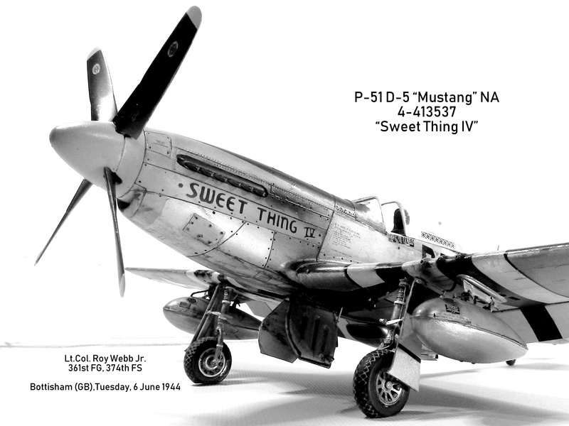 P-51D-5 (early version) NA Mustang - "Sweet Thing IV" Lt. Col. Roy Webb Jr., 361st Fighter Group, 374th Fighter Squadron - 1944 (1/32) - Page 18 Dscn0427