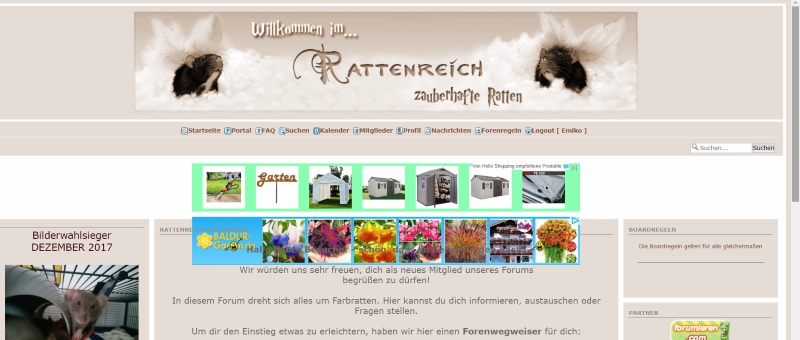 [#12046] Werbung entfernen R110