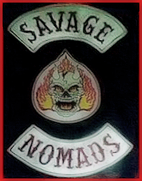 Couleurs des differents clubs de bikers - Page 21 Sn200910